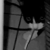 Стикер 34 Silly Cats