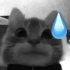 Стикер 14 Silly Cats