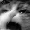 Стикер 22 Silly Cats