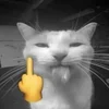 Стикер 21 Silly Cats