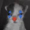 Стикер 2 Silly Cats