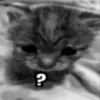 Стикер 9 Silly Cats