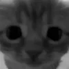 Стикер 32 Silly Cats