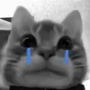 Стикер 13 Silly Cats