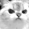 Стикер 17 Silly Cats