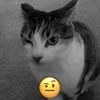 Стикер 26 Silly Cats