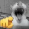 Стикер 3 Silly Cats