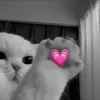 Стикер 46 Silly Cats