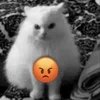 Стикер 30 Silly Cats