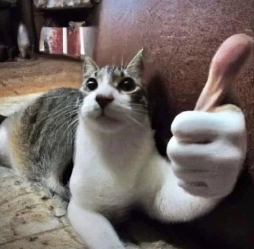 🌟 Стикер «глупые коты» для Telegram