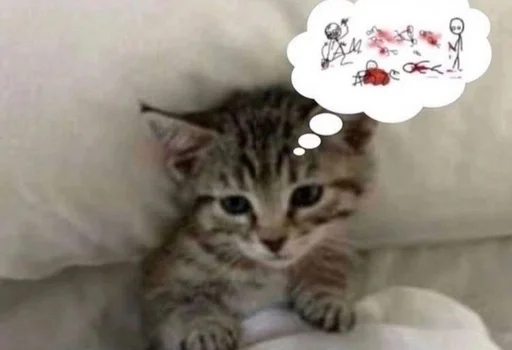 🌟 Стикер «глупые коты» для Telegram