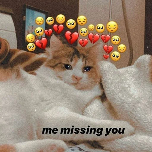 😔 Стикер «тупые мемы» для Telegram