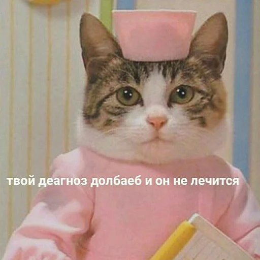 😒 Стикер «тупые мемы» для Telegram