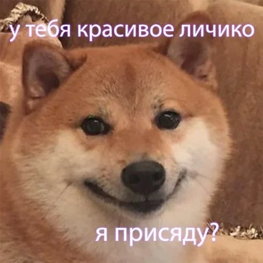🙂 Стикер «тупые мемы» для Telegram