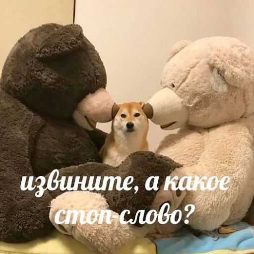 🛐 Стикер «тупые мемы» для Telegram