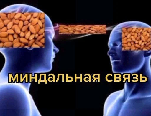 📱 Стикер «тупые мемы» для Telegram