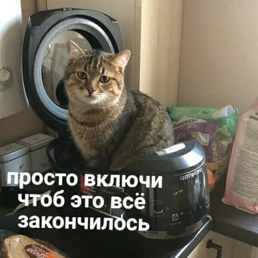 😭 Стикер «тупые мемы» для Telegram