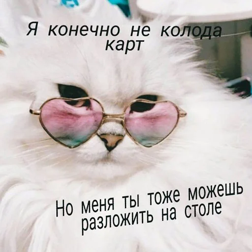 😏 Стикер «тупые мемы» для Telegram
