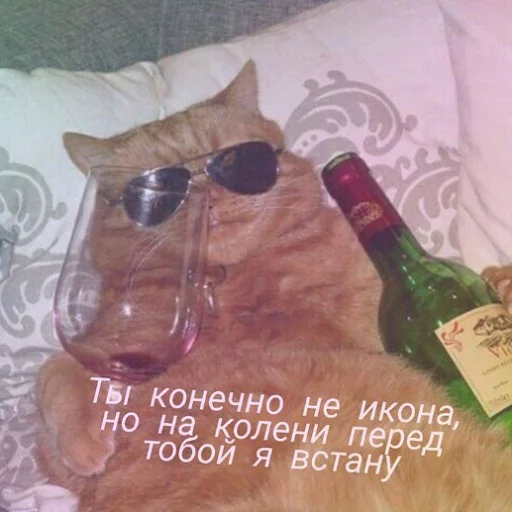 🥂 Стикер «тупые мемы» для Telegram