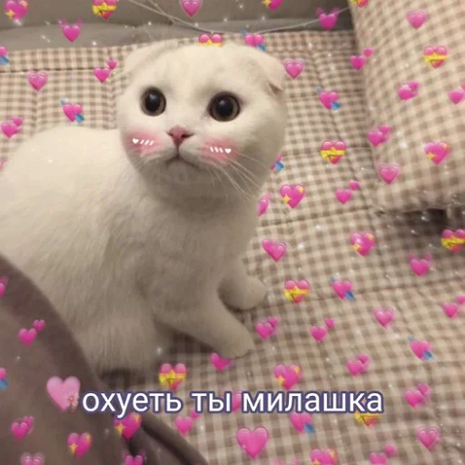 😍 Стикер «тупые мемы» для Telegram