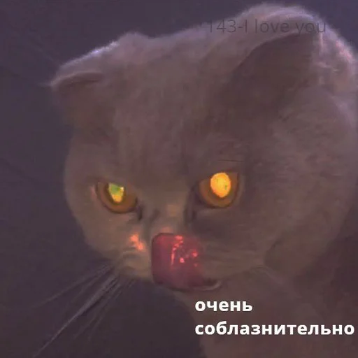 👅 Стикер «тупые мемы» для Telegram