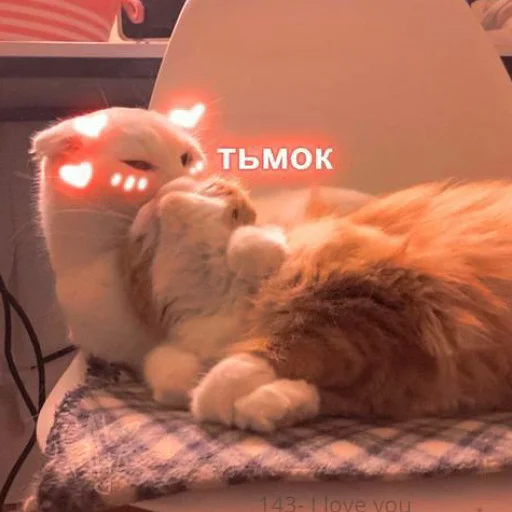 😘 Стикер «тупые мемы» для Telegram