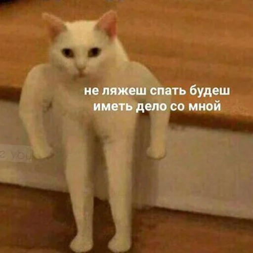😡 Стикер «тупые мемы» для Telegram