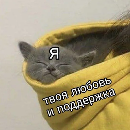 ❤️ Стикер «тупые мемы» для Telegram