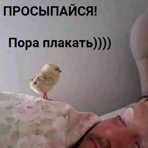 😓 Стикер «тупые мемы» для Telegram