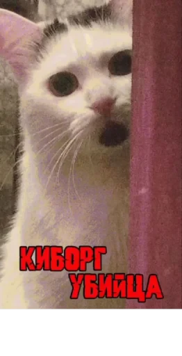😈 Стикер «Сима» для Telegram