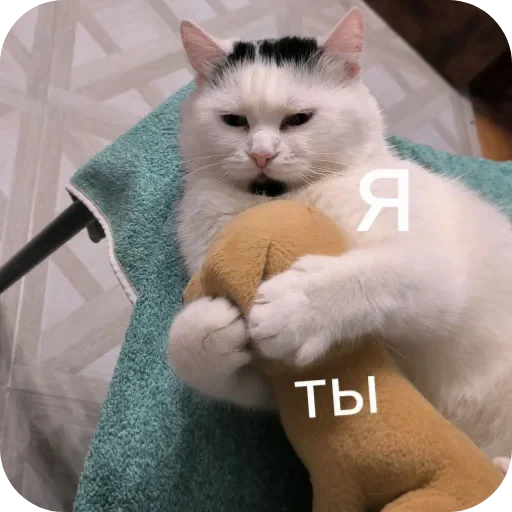 🥰 Стикер «Сима» для Telegram
