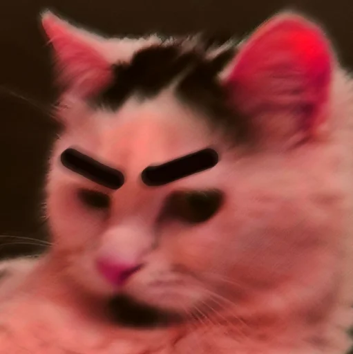 😾 Стикер «Сима» для Telegram