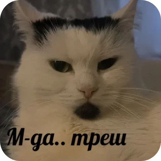 😐 Стикер «Сима» для Telegram