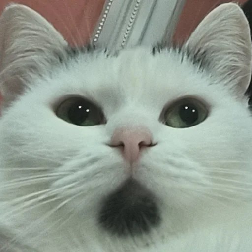 🥟 Стикер «Сима» для Telegram