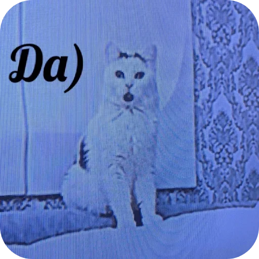👌 Стикер «Сима» для Telegram