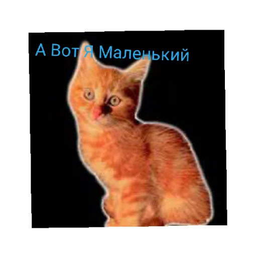 😄 Стикер «Симбочка Пимпочка Обновление 4» для Telegram