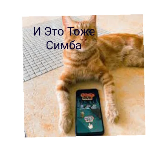 😄 Стикер «Симбочка Пимпочка Обновление 4» для Telegram
