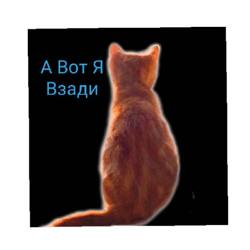 😄 Стикер «Симбочка Пимпочка Обновление 4» для Telegram