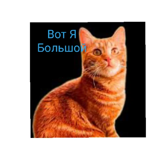 😄 Стикер «Симбочка Пимпочка Обновление 4» для Telegram