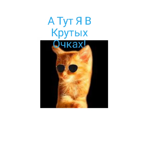 😄 Стикер «Симбочка Пимпочка Обновление 4» для Telegram