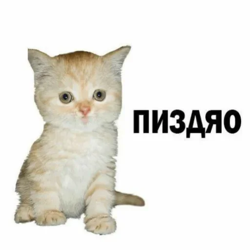 🤭 Стикер «моё» для Telegram