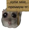 Стикер 59 Homyak