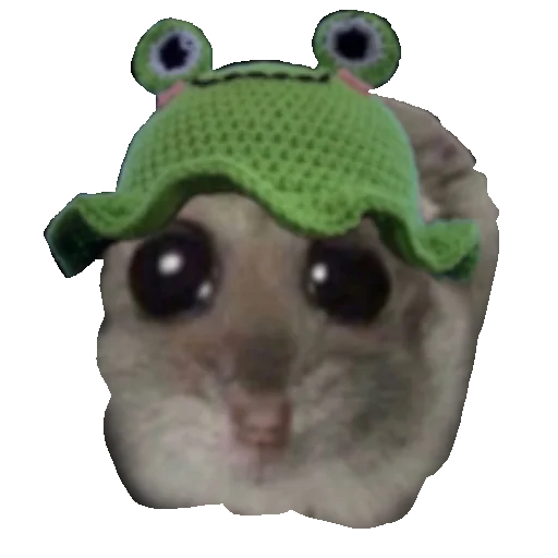 🐸 Стикер «Homi4ok» для Telegram