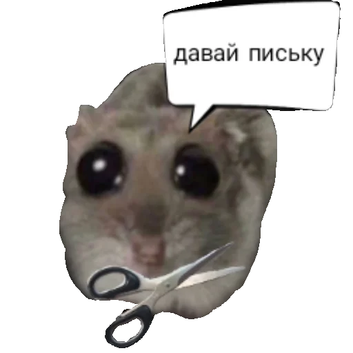 ☺️ Стикер «Homi4ok» для Telegram