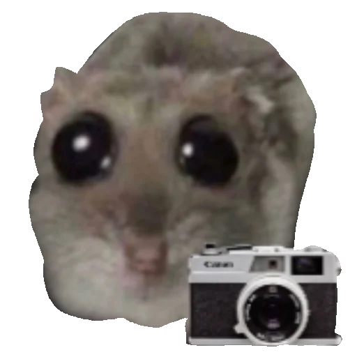 📷 Стикер «Homi4ok» для Telegram