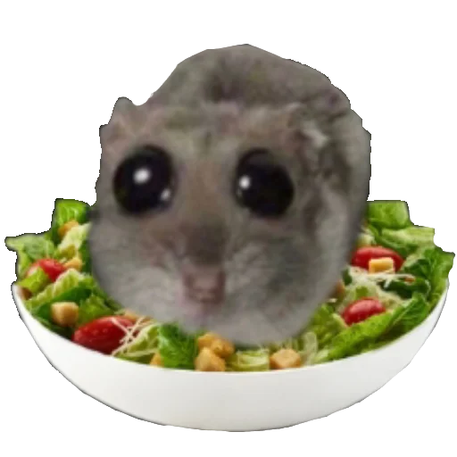 🥗 Стикер «Homi4ok» для Telegram