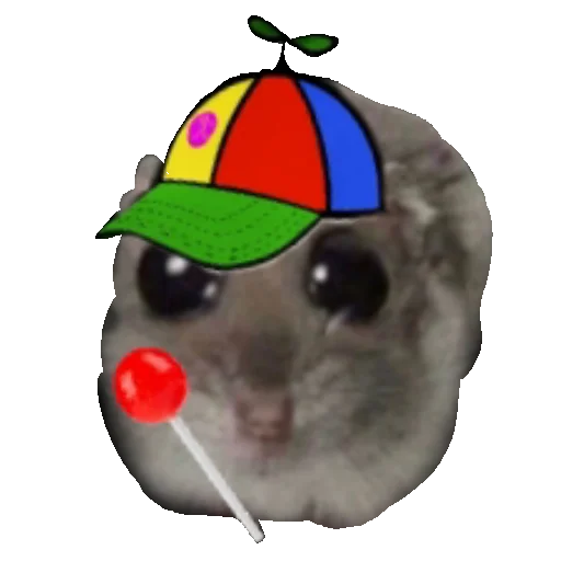 🧢 Стикер «Homi4ok» для Telegram