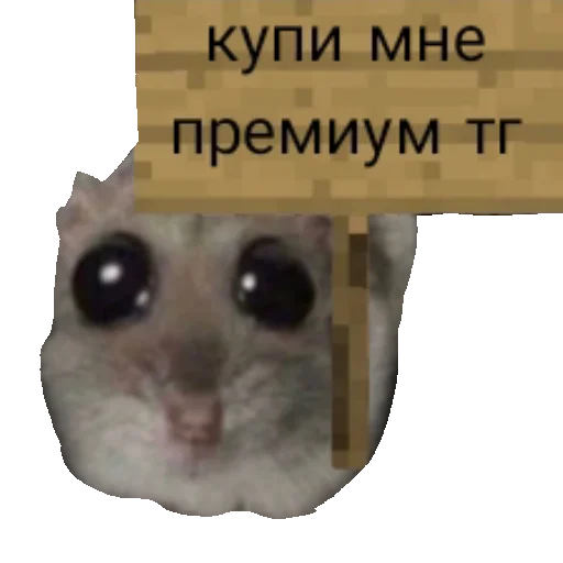 🙏 Стикер «Homi4ok» для Telegram