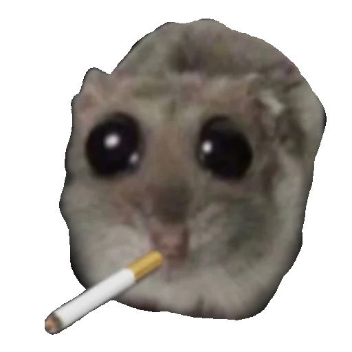 🚬 Стикер «Homi4ok» для Telegram