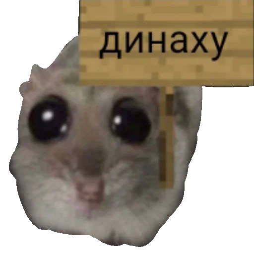 🖕 Стикер «Homi4ok» для Telegram